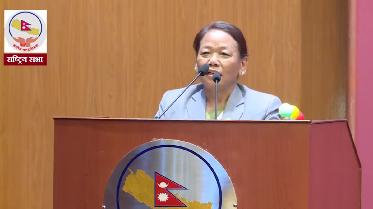 Parliamentary role not effective- leader Rai
