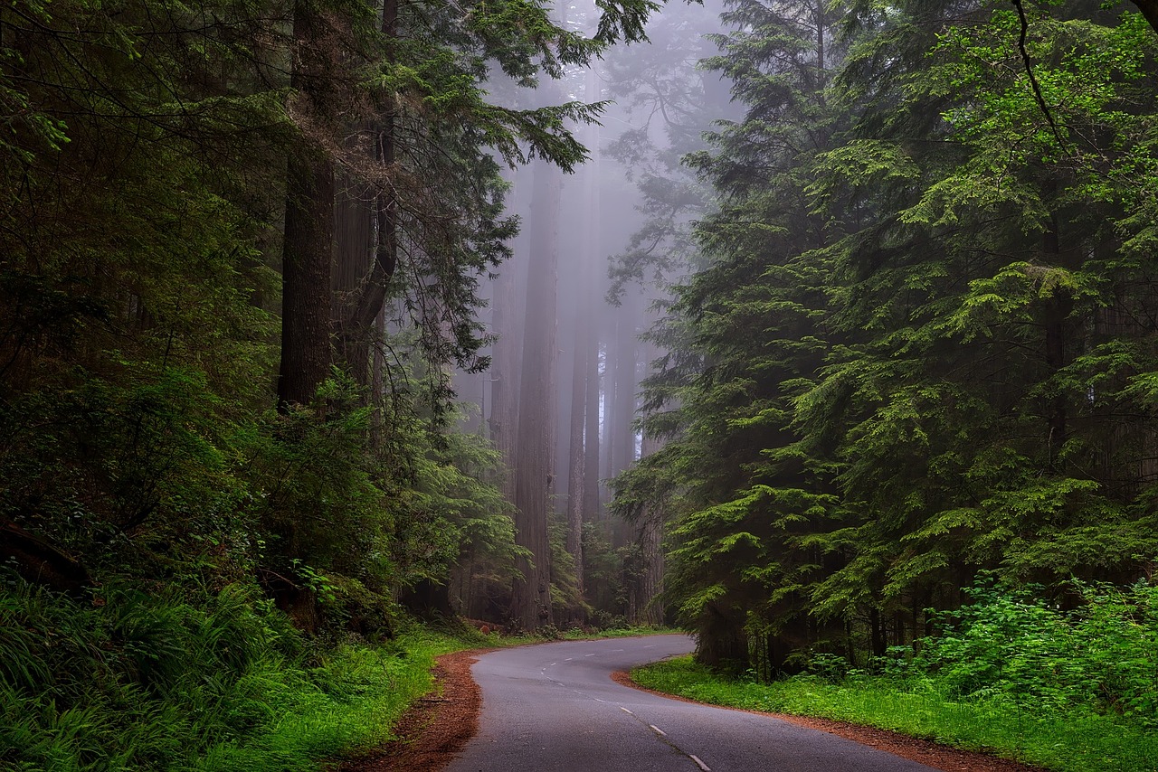 National Park Federation formed