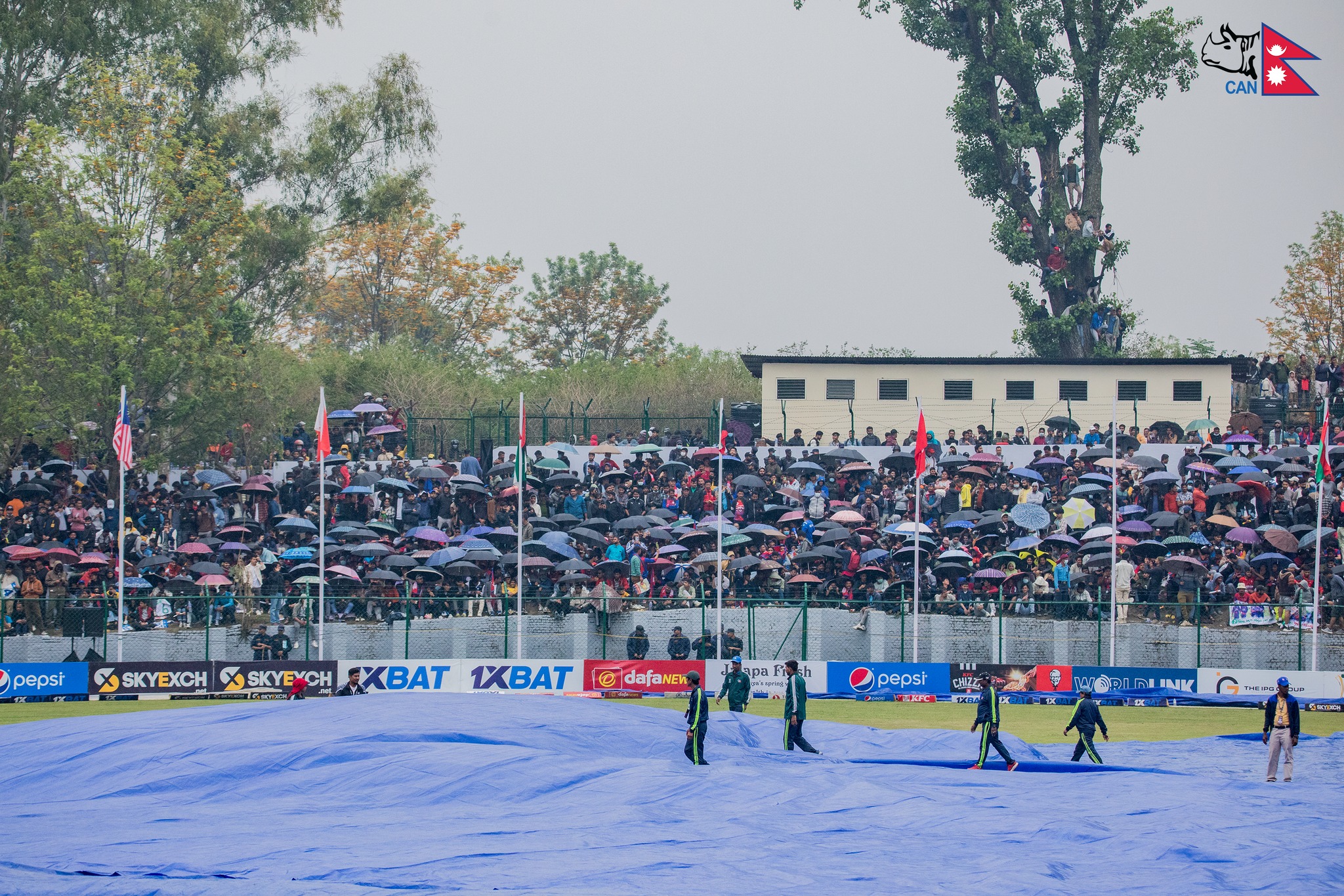 Nepal-UAE match to be played tomorrow if rain continues