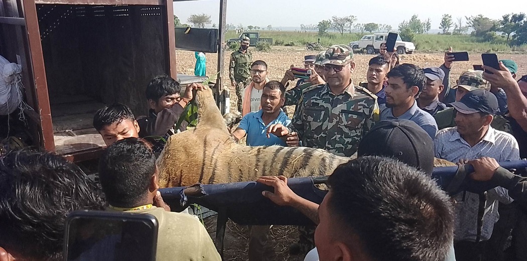 1 million compensation for tiger attack victim’s family