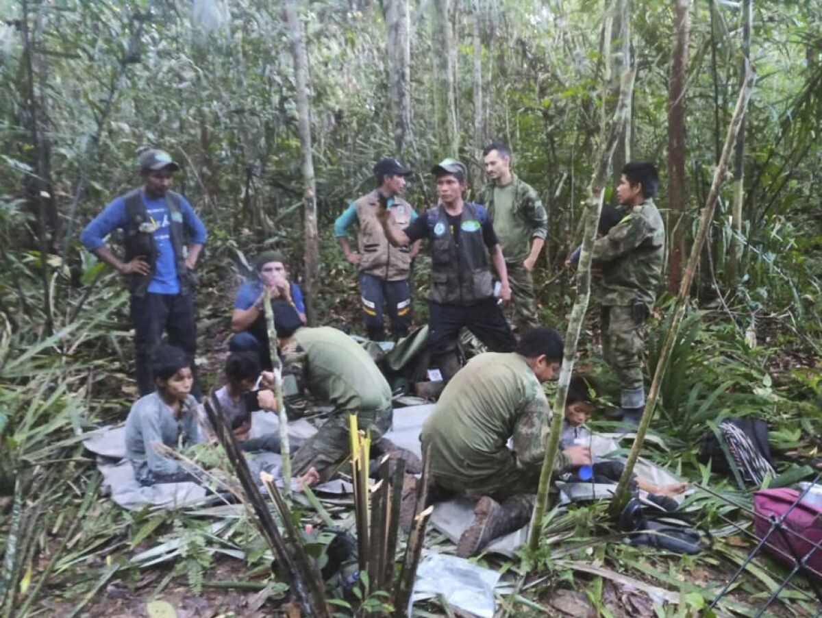 Colombia plane crash: Four children found alive in Amazon after 40 days