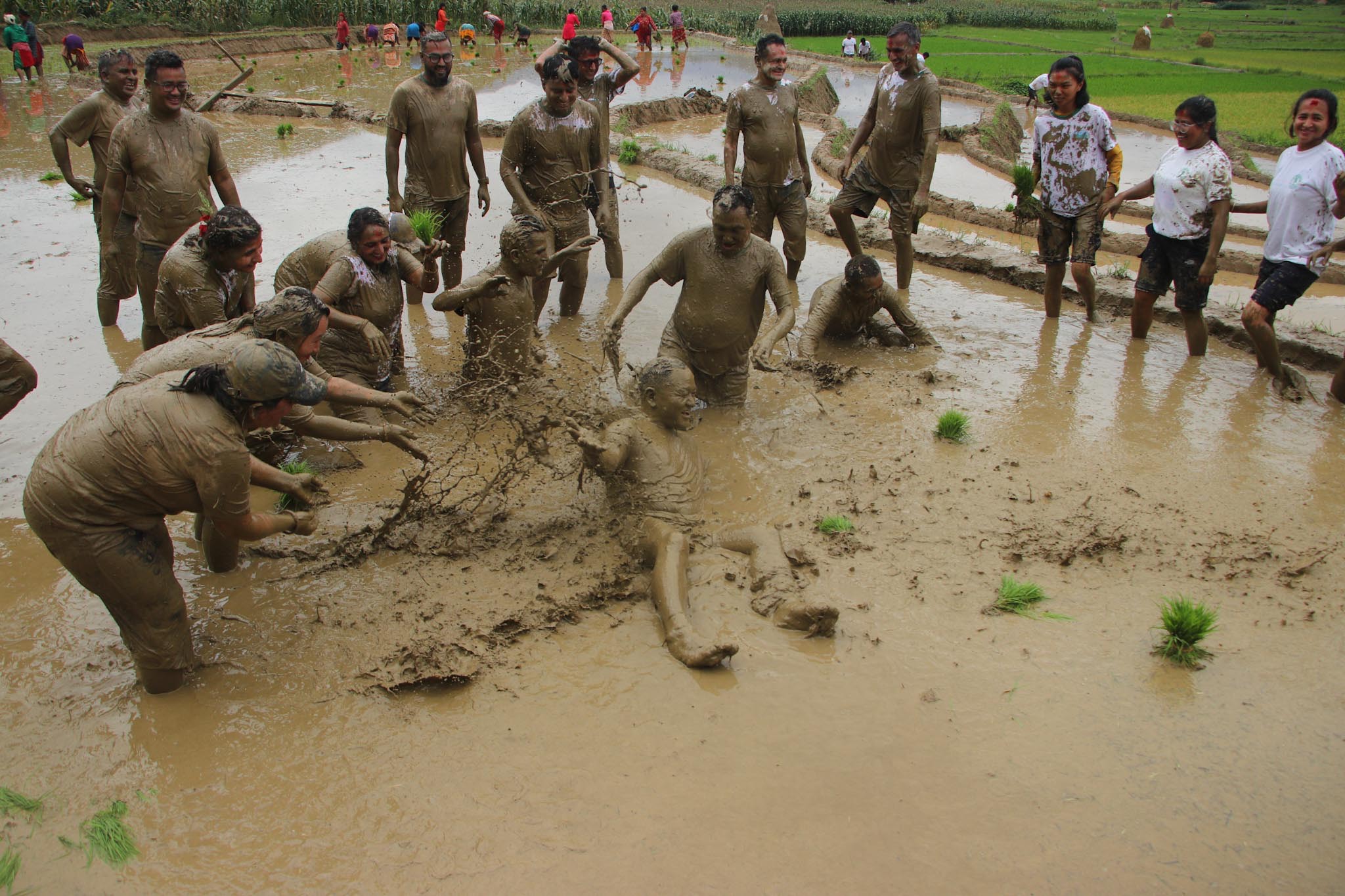 In Pics: Nuwakot’s National Paddy Day celebration