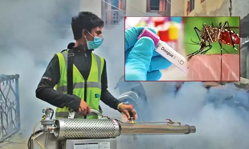 Following an upsurge in dengue cases, ministry urged for caution