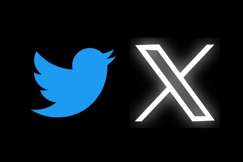 Twitter rebranded as X as blue bird logo killed off