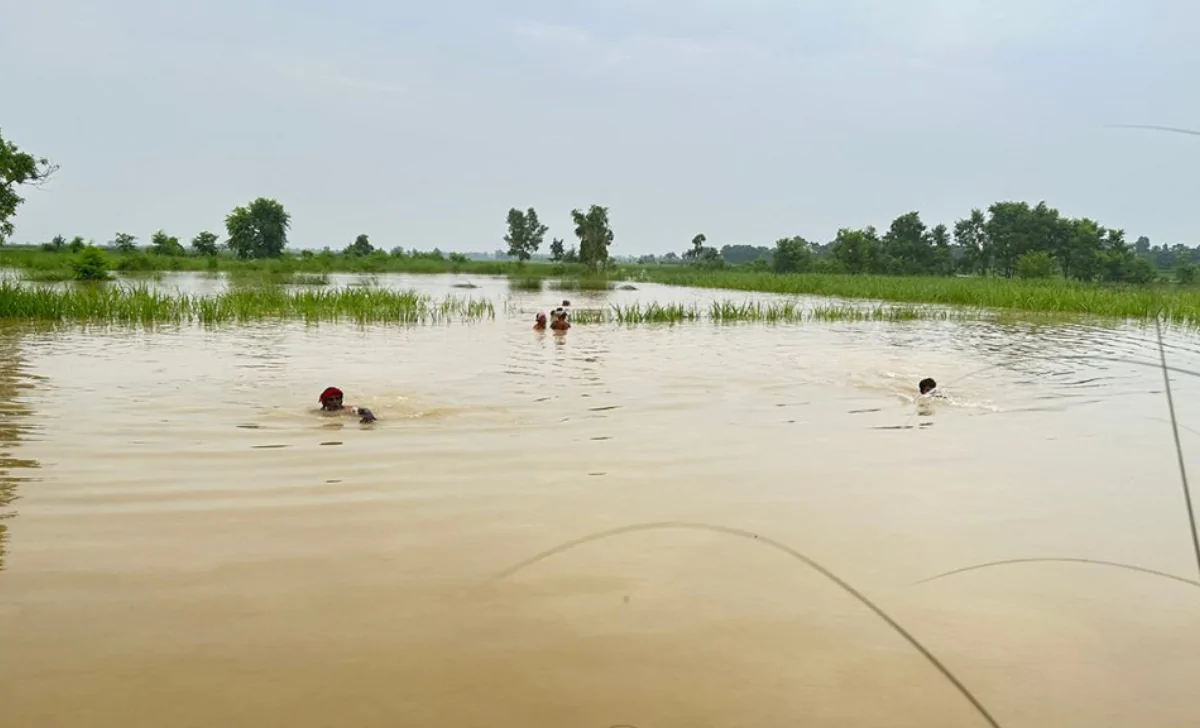 Two killed in Sarlahi flooding; 72 rescued