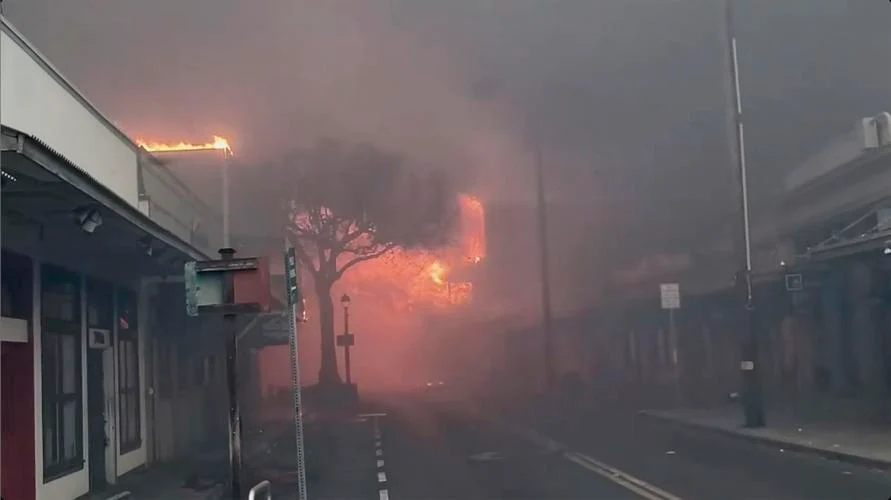 Hawaii fires: At least 36 killed as wildfires tear through Maui island