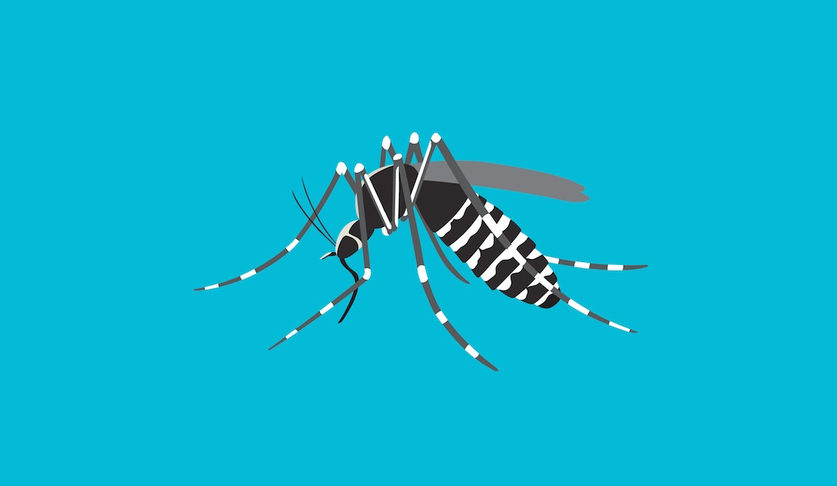 Risk of dengue cases high in Sudurpaschim State