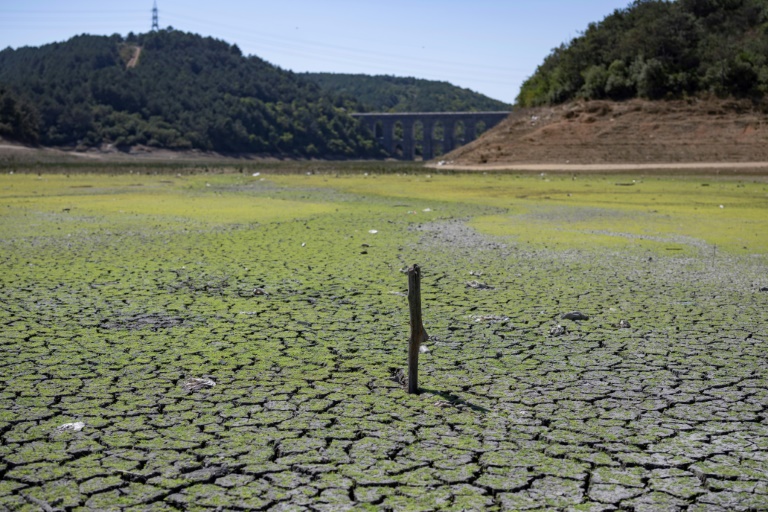 ‘Bad days await’: Istanbul dams run low in summer