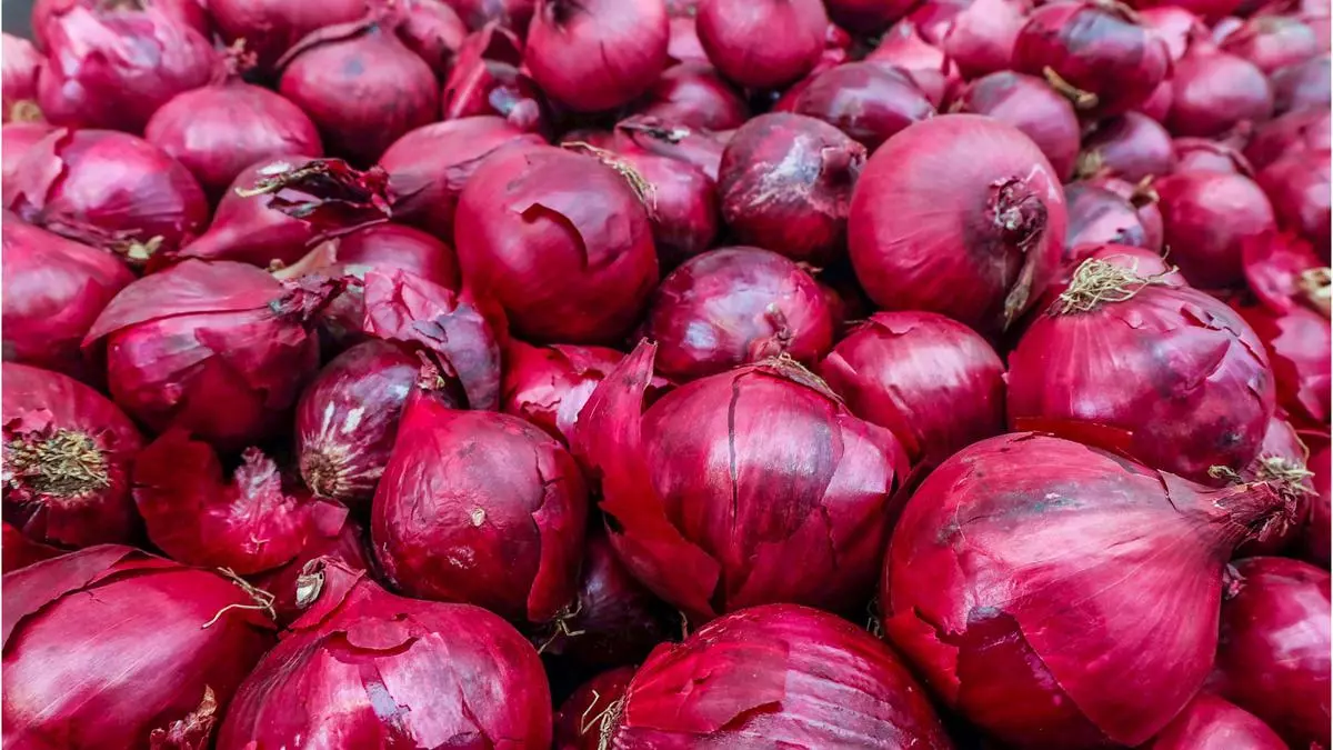 India sets minimum price for onion exports