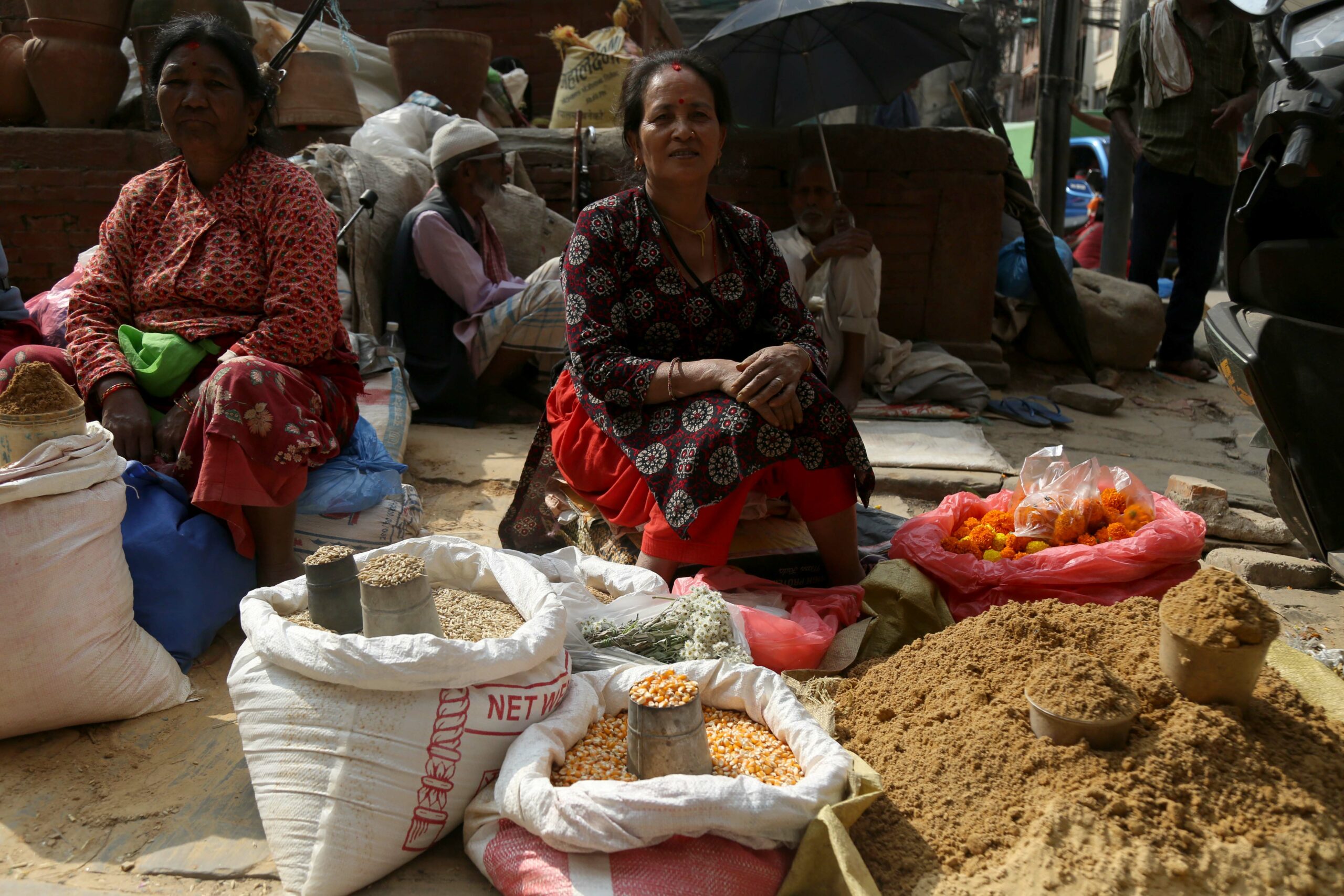 Bhedasingh sees soaring demand for soil, maize, and wheat for Dashain (photos)