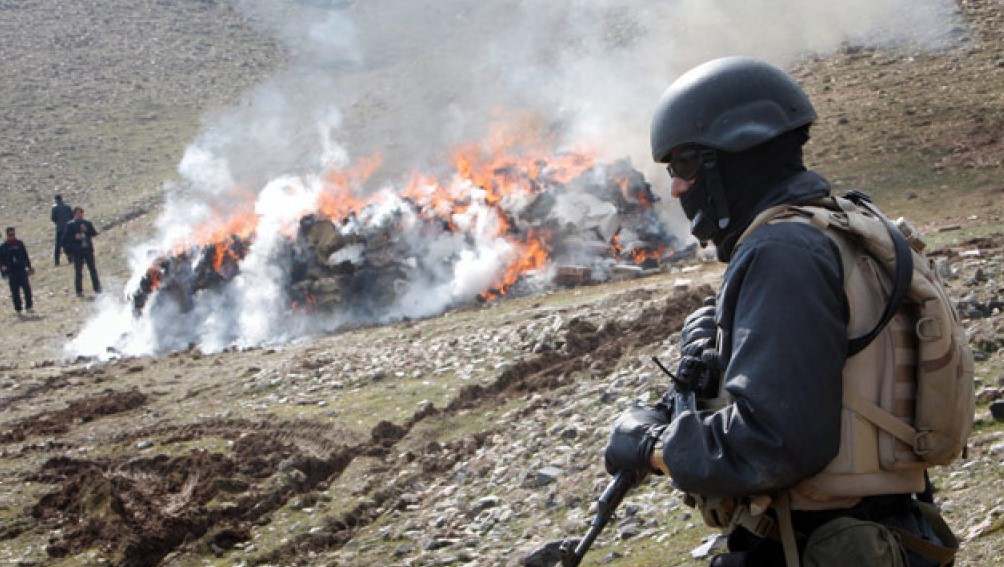 Police destroy 57 acres of hashish in N. Afghanistan