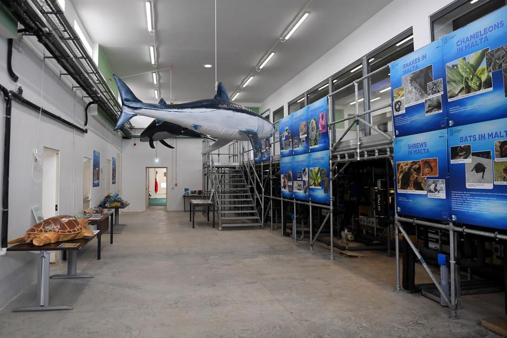 Malta inaugurates Wildlife Rehabilitation Center