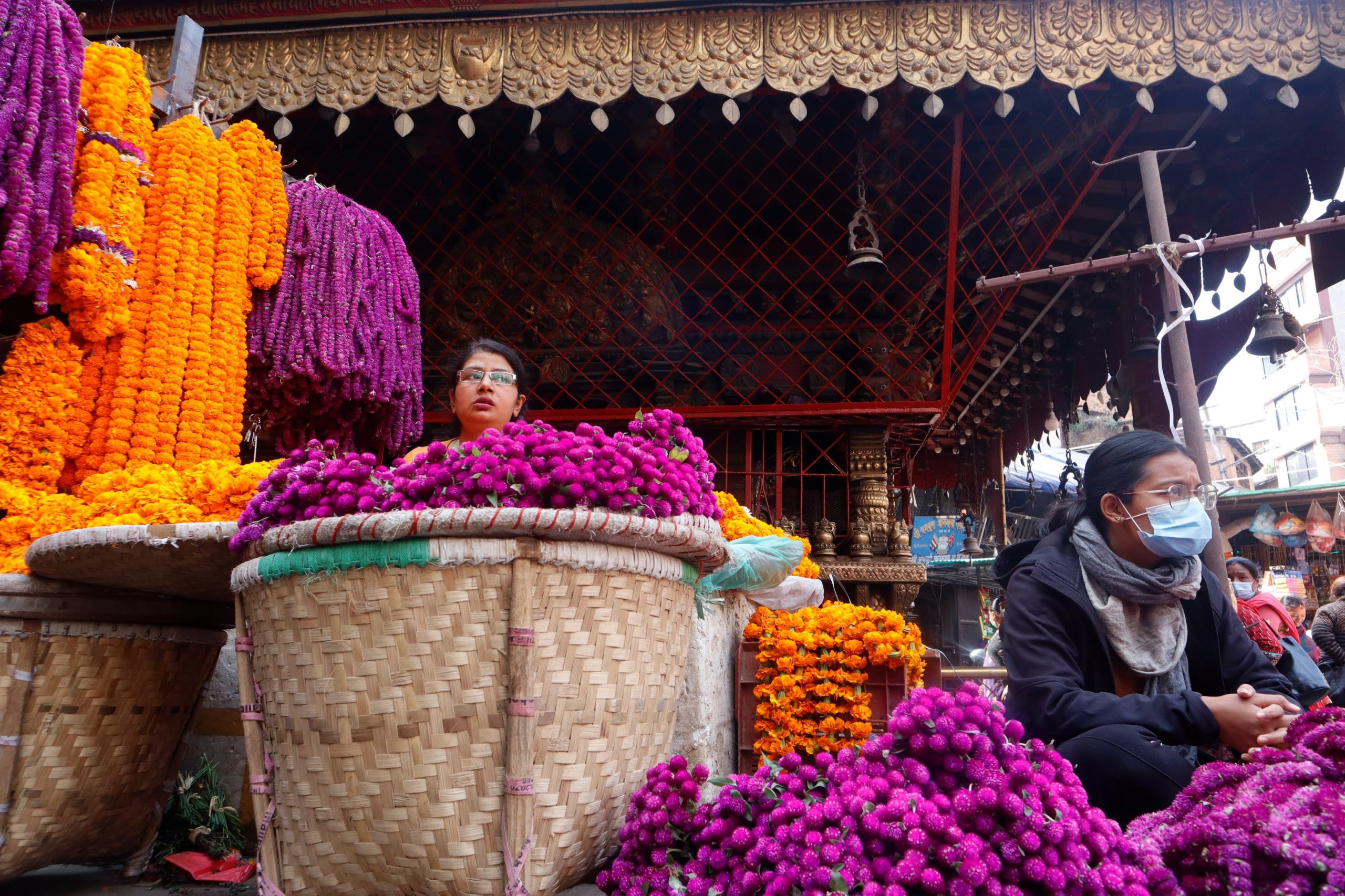 Preparations to welcome Tihar (photos)