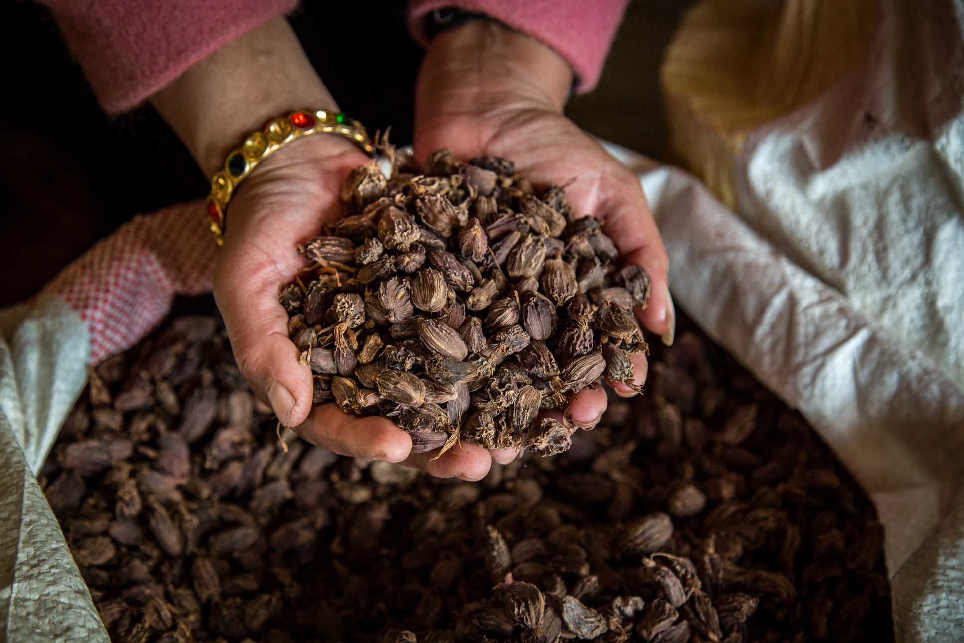 Cardamom price rise sparks farmer optimism in Bhojpur