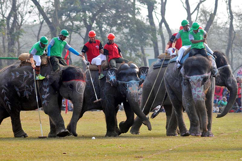 17th Chitwan Elephant and Tourism Festival from Dec 26