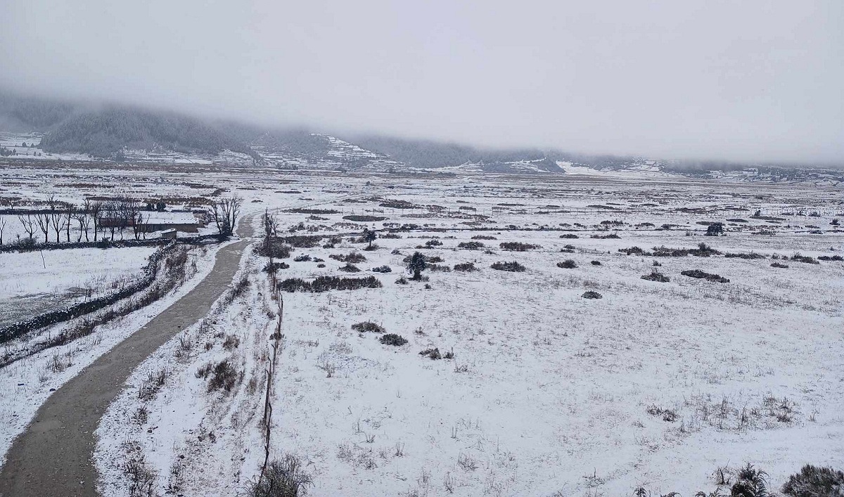 Snowfall in Dhorpatan affects life