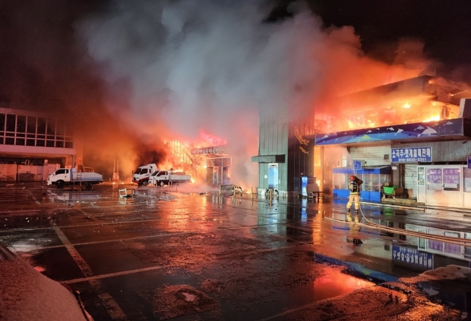 Fire burns down 227 stores in S. Korea, no casualties reported