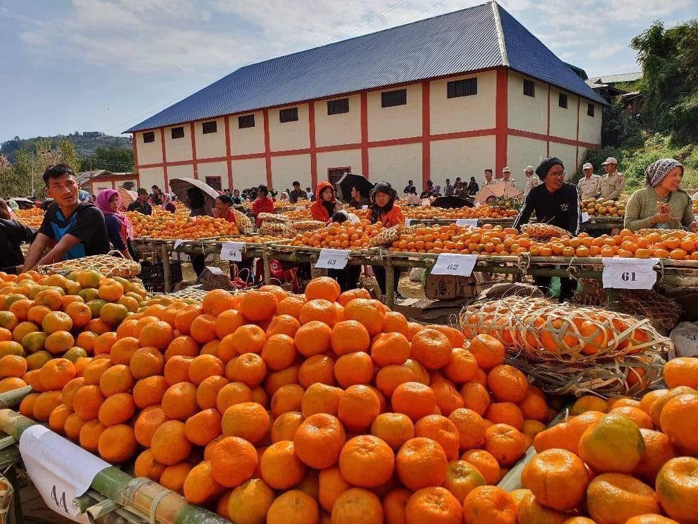Orange festival to ensure its market