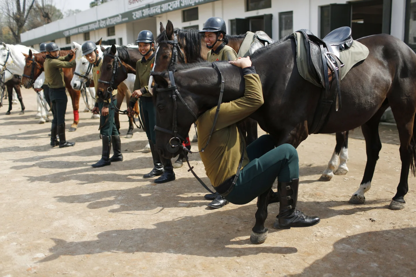 Horse reproduction centre to be shifted for airport expansion