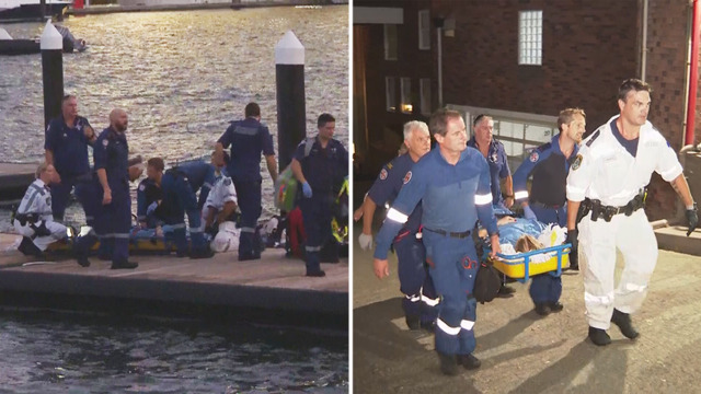 Sydney Harbour shark attack leaves woman severely injured