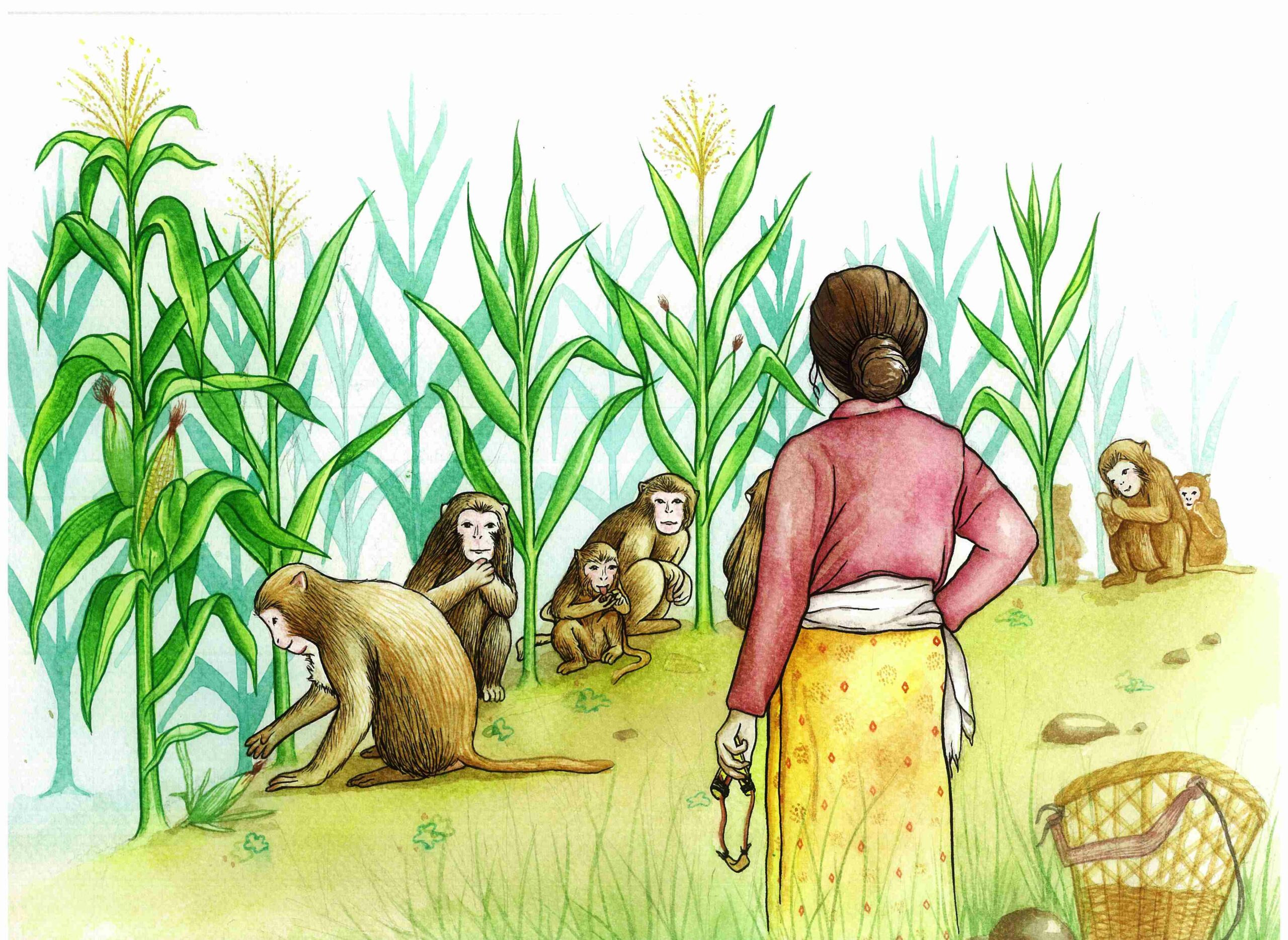 Households suffering wildlife menace waiting for compensation