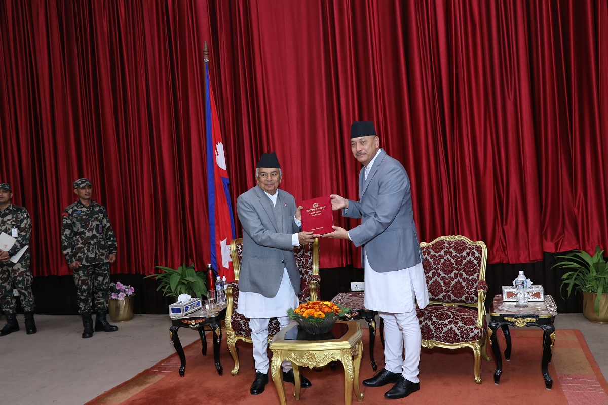 Chief Justice Shrestha submits annual report to the President