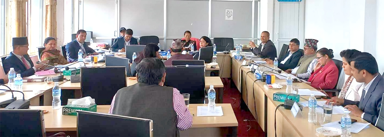 Meeting of eight committees of the Federal Parliament simultaneously