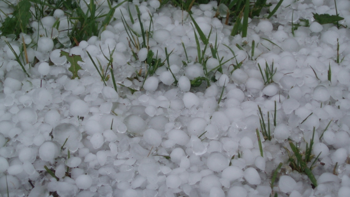 Hailstone damages winter crops