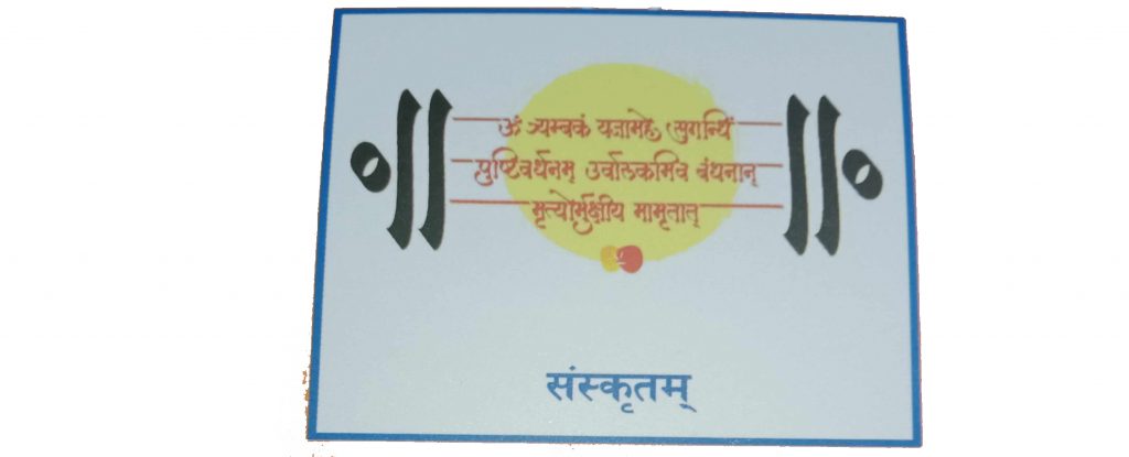 Nepal-India Sanskrit Conference held in Kathmandu