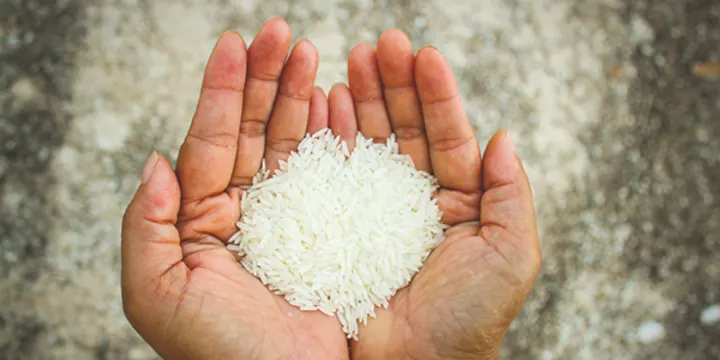 Fortified rice has arrived in Humla