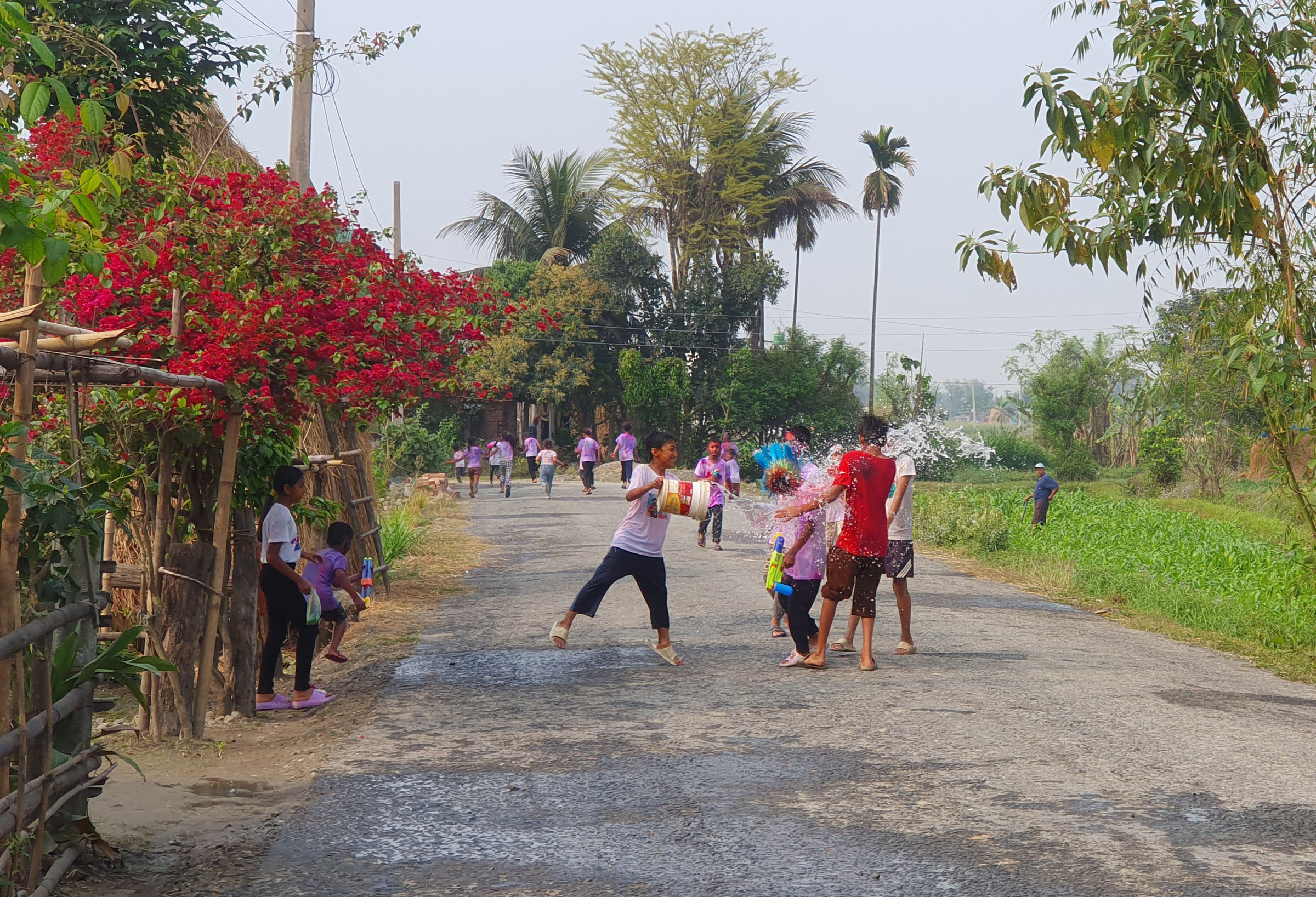Holi, festival of colours, being celebrated in Terai today