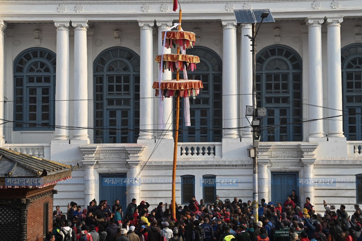 Chir erected in Basantapur, Holi festival begins (photos)