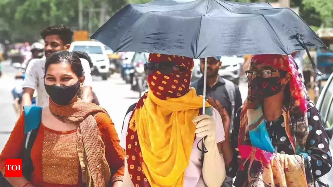 India to see hot weather conditions in April-June