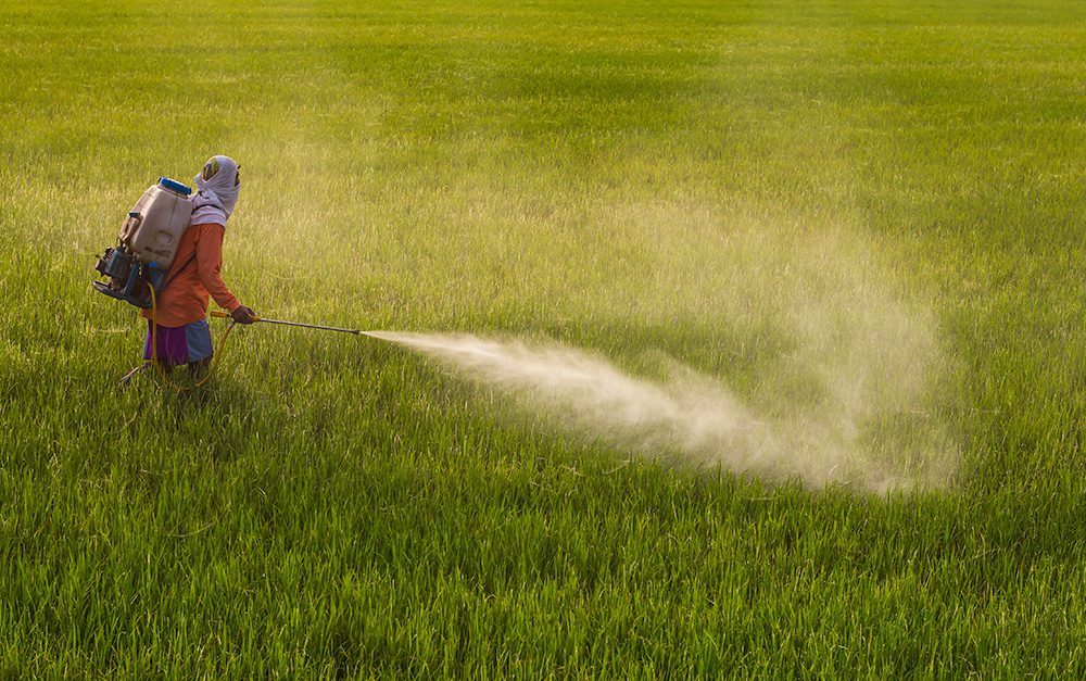 Farmers provided grants for pesticide free production