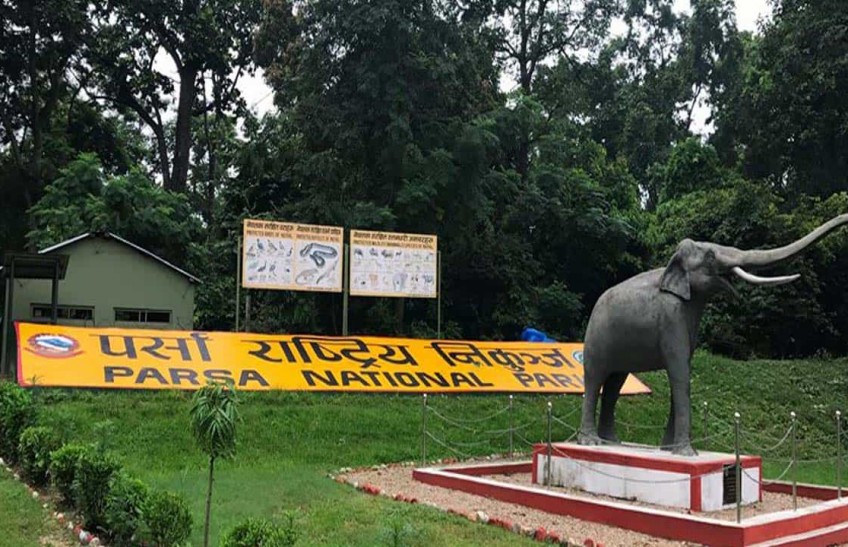 Tourist arrival up in Parsa National Park