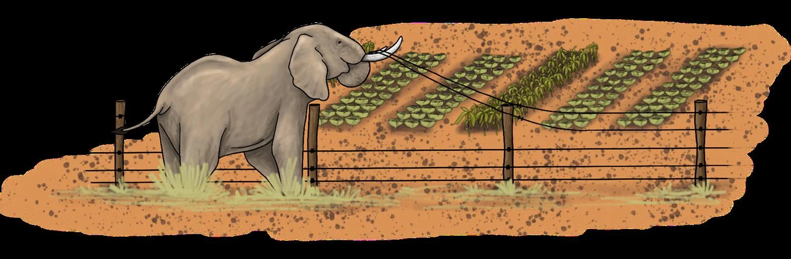 76-km solar fence placed to mitigate human-tusker conflict