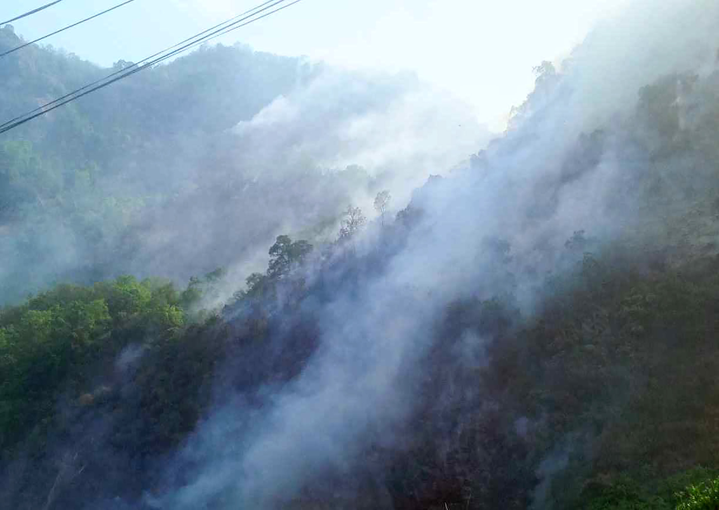 NEFEJ calls for controlling forest fires and prompt distribution of relief to the affected