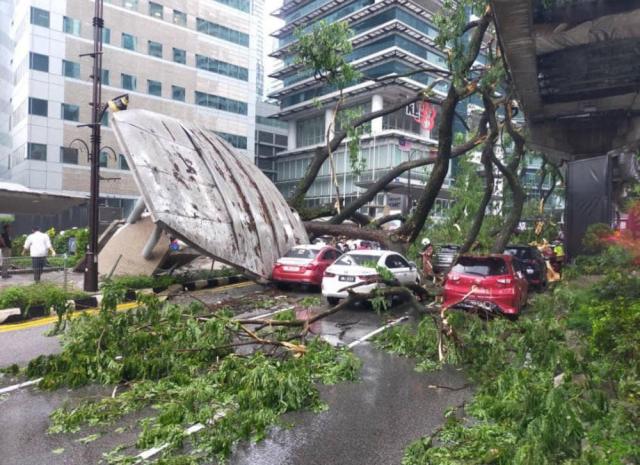 1 dead after huge tree collapses in Kuala Lumpur