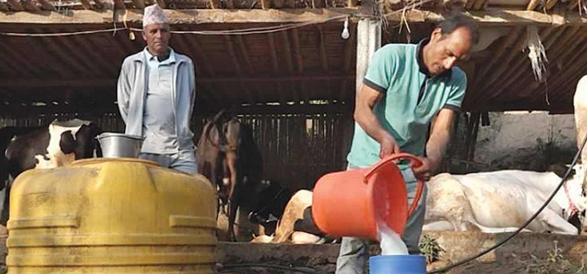 Dairy farmers demand overdue payment with DDC