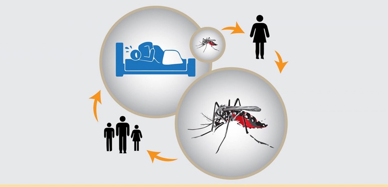 Khandbari Hospital faces shortage of beds as dengue, viral cases surge