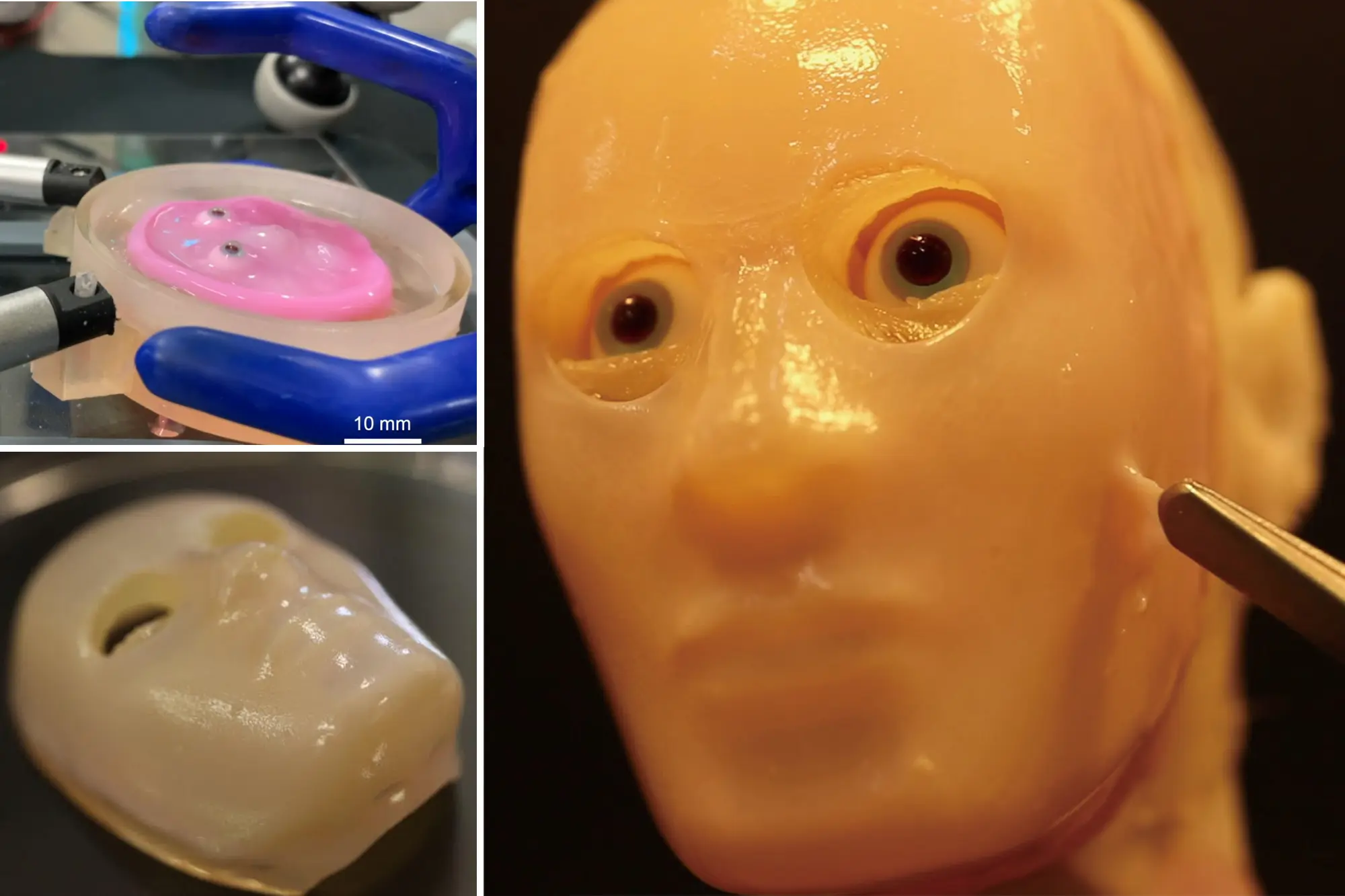 Japan scientists make smiling robot with ‘living’ skin