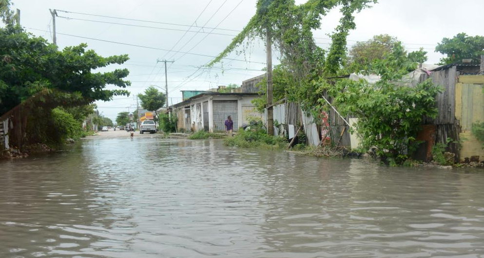 Over 1 mln people in Caribbean affected by Hurricane Beryl: UN