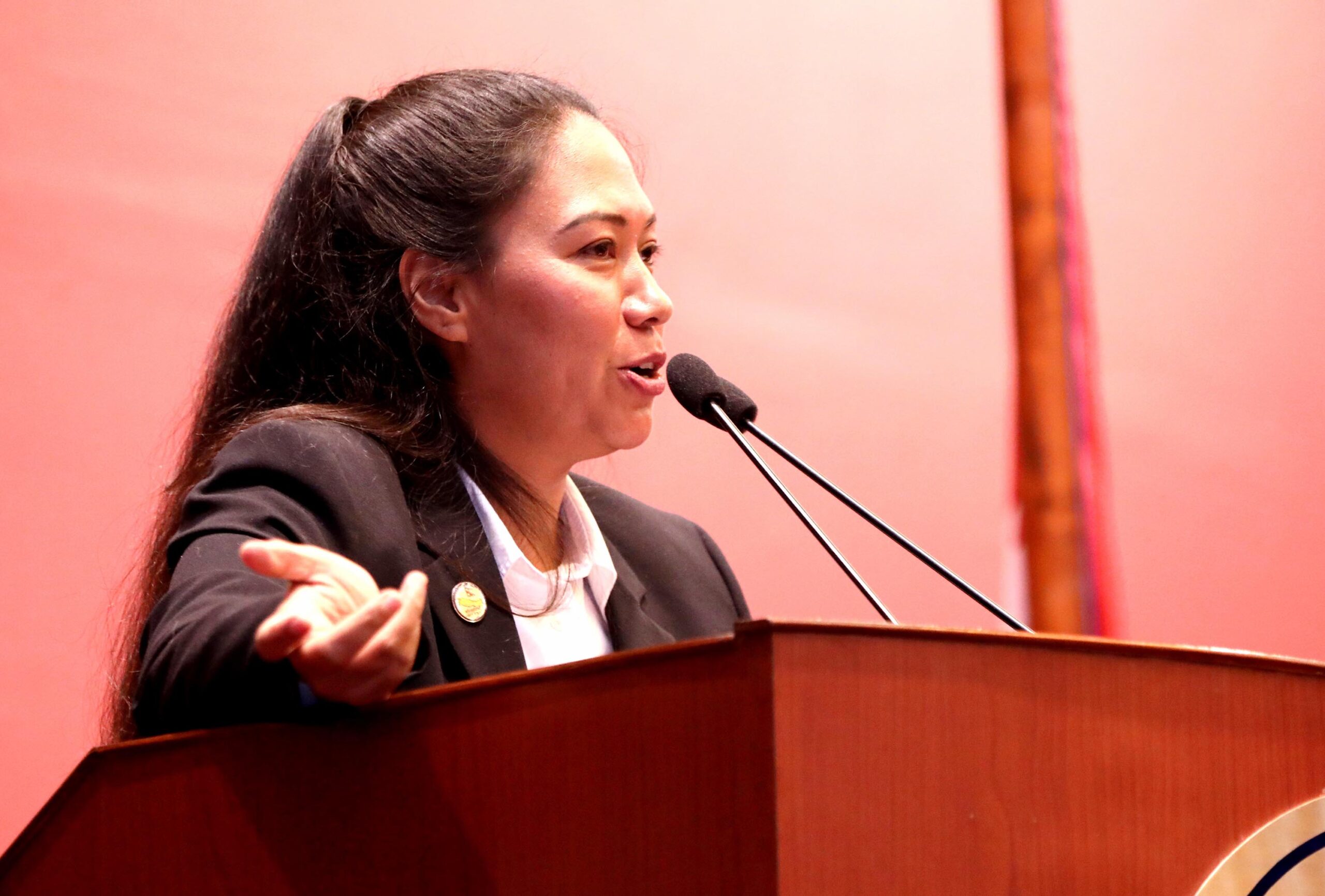 Education Minister Shrestha insists on additional budget to enhance education sector