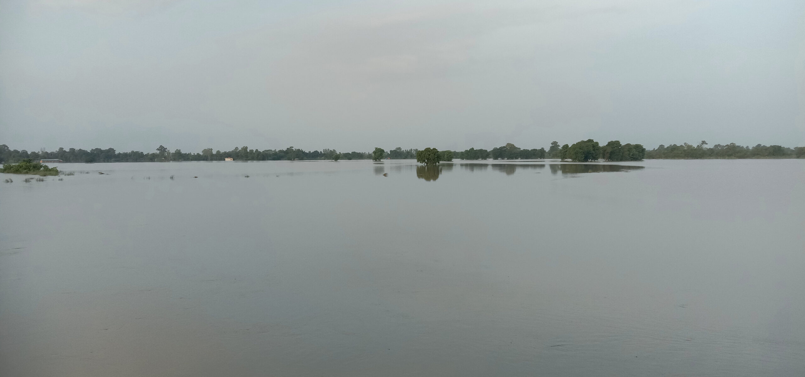 More than 500 families affected by floods in Sunsari