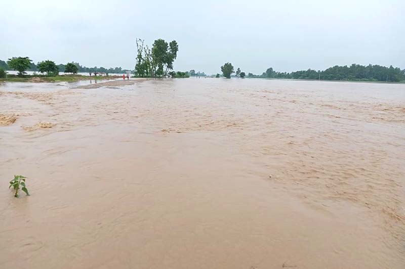 Flood victims moved to safer zone in Lumbini State