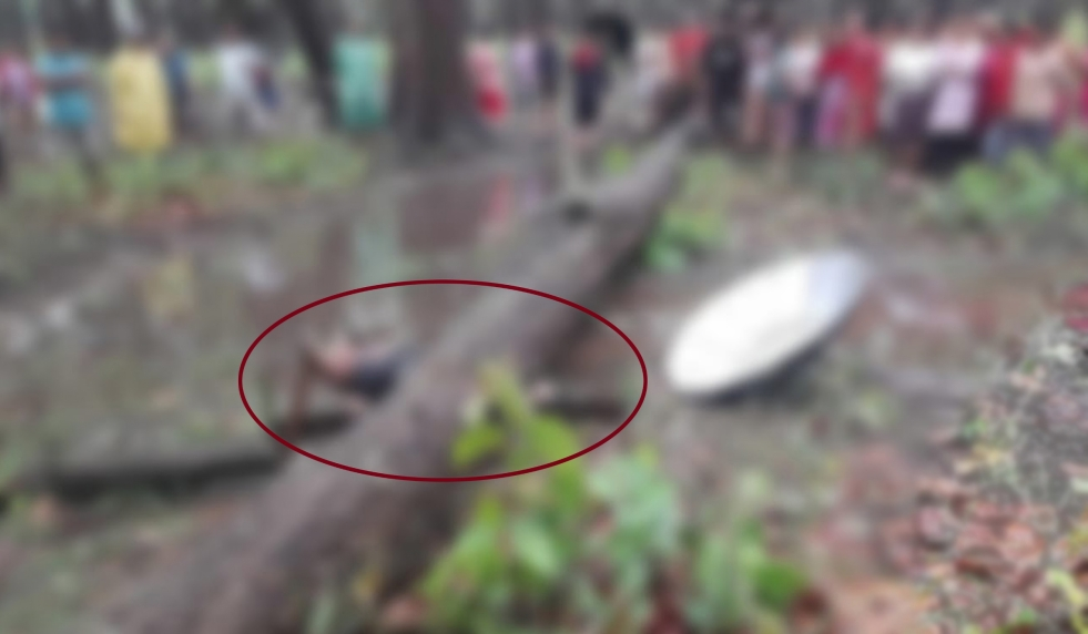 Elderly woman crushed to death by tree in Lamjung