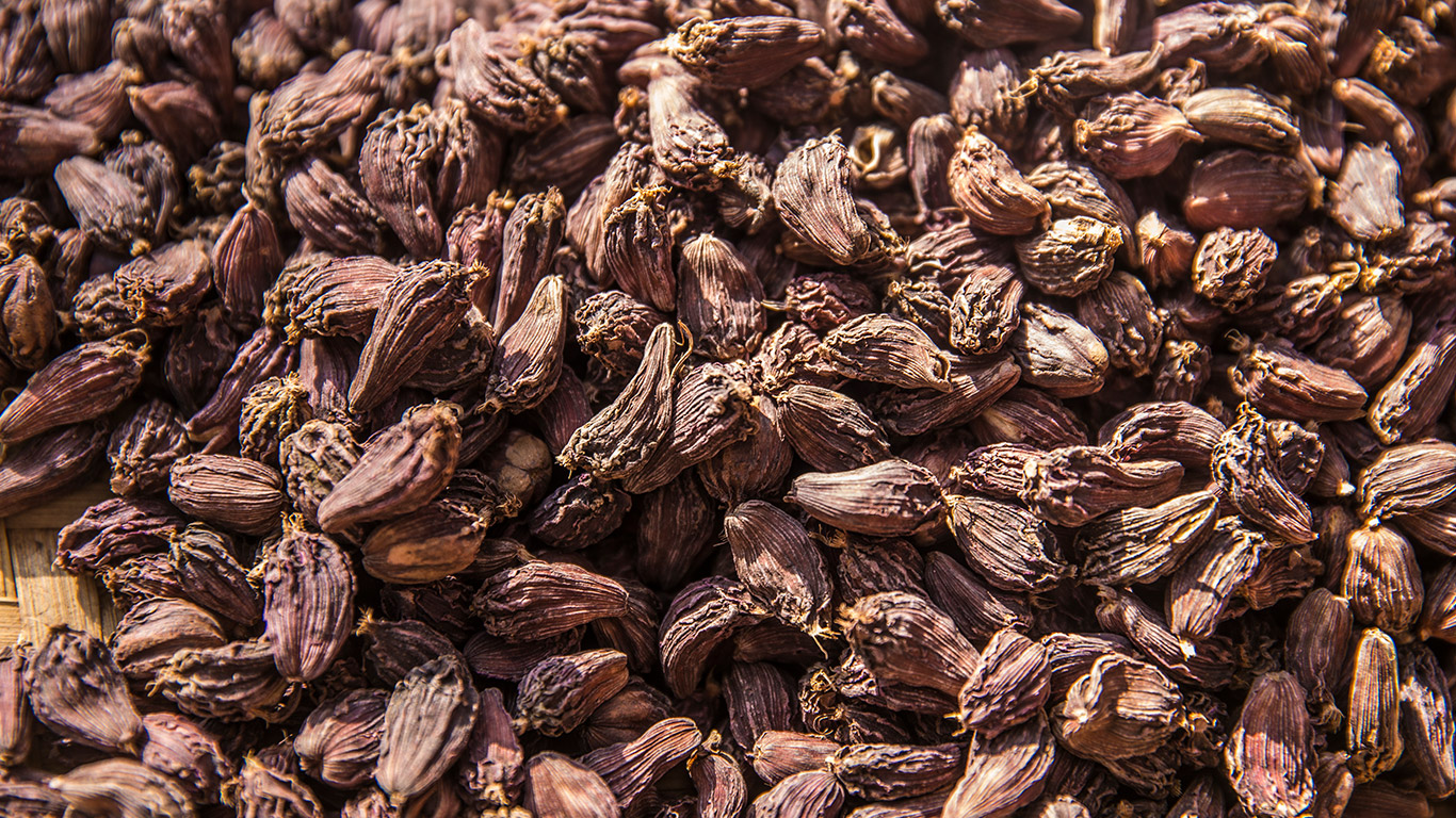 Black cardamom sees rise in price after a decade, production likely to decline