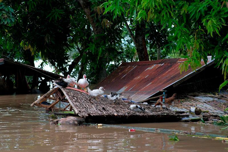 Death toll from tropical storm Trami in Philippines climbs to 116, 39 missing