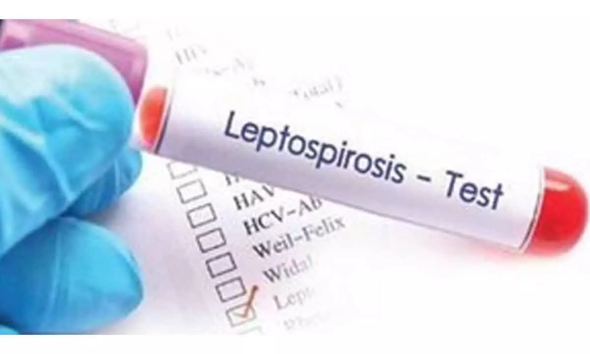 Leptospirosis cases continue to rise in Philippines