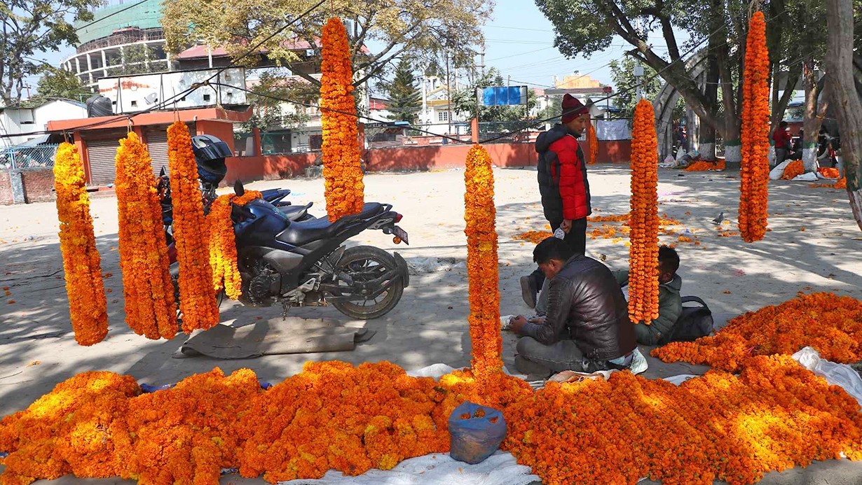 Local flowers available at these 46 locations in Kathmandu